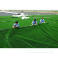 Soft 7700 Dtex Pp Durable Artificial Grass Turf, Baseball, Hockey Court Golf Artificial Turf Jh--8340